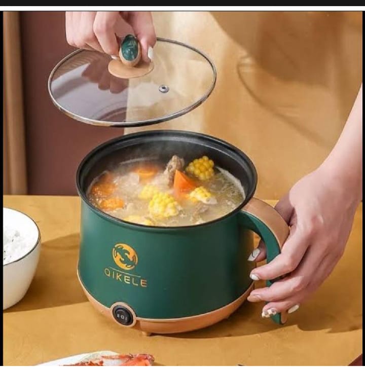 Mini Electric Functional Cooker