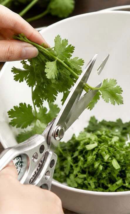 Powerful Chicken Bone Scissors
