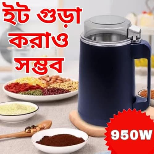 Mini Electric Spice Grinder