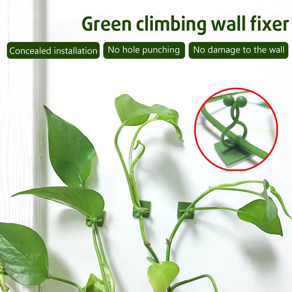 Wall Fixture Clips   (20pis)