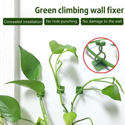 Wall Fixture Clips   (20pis)