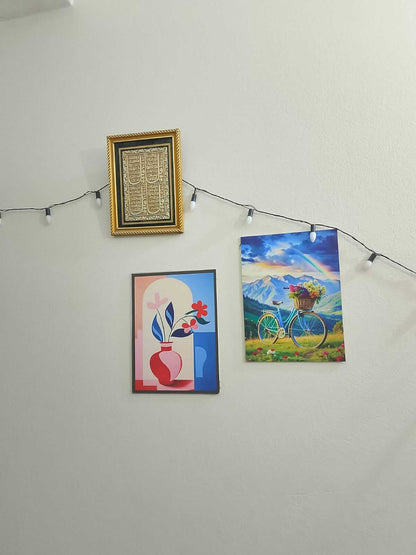 wall hook combo -50 pis