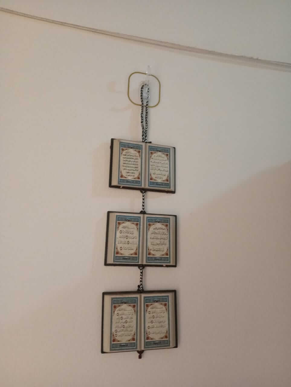 wall hook combo -50 pis